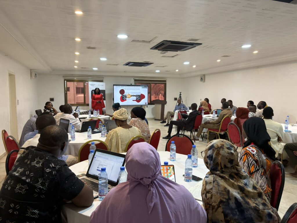 Strengthening CSOs Capacity and Resilience in Mali