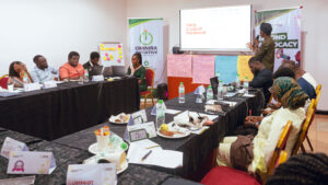 Temidayo Musa facilitating a training session